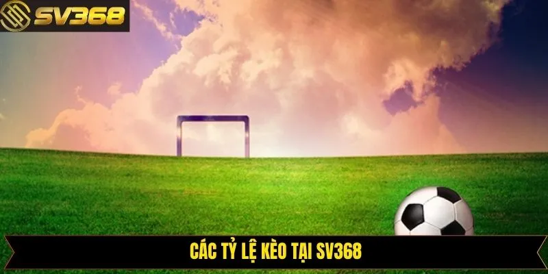 Tỷ lệ cá cược tài xỉu trong thể thao