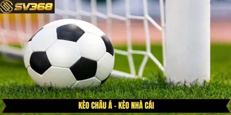 Loại kèo nhà cái hấp dẫn tại sân chơi SV368