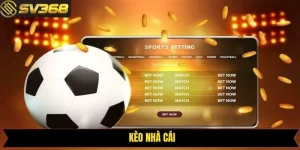 Kèo Nhà Cái - Tỷ Lệ Cược Thể Thao Hấp Dẫn Tại SV368