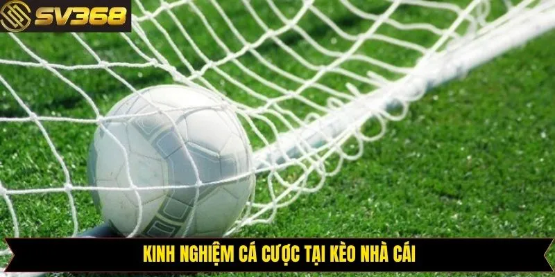 Bí quyết chọn kèo nhà cái thắng khủng tại SV368