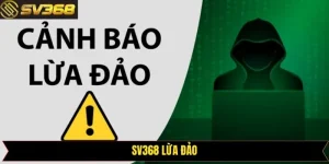 SV368 Lừa Đảo - Giải Mã Chi Tiết Mọi Thông Tin Chuẩn Nhất