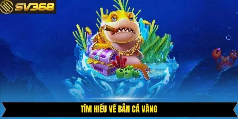 Khái niệm về bắn cá vàng