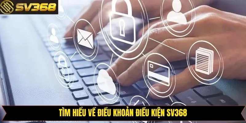 Thông tin chung về điều khoản điều kiện trên SV368