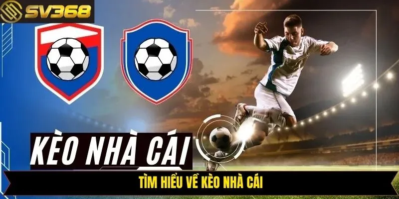 Sơ lược về định nghĩa cược nhà cái tại SV368
