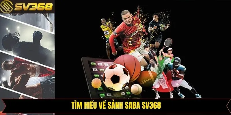 Khái quát chi tiết về sảnh thể thao nổi trội hàng đầu