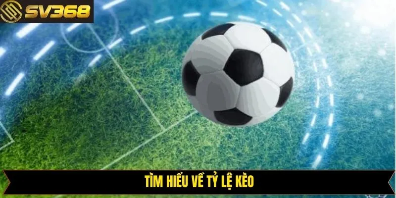 Tìm hiểu chi tiết về thuật ngữ tỷ lệ kèo nhà cái